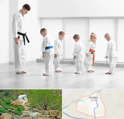 مربی کاراته در کردان