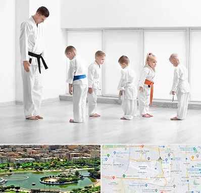 مربی کاراته در منطقه 9 تهران 