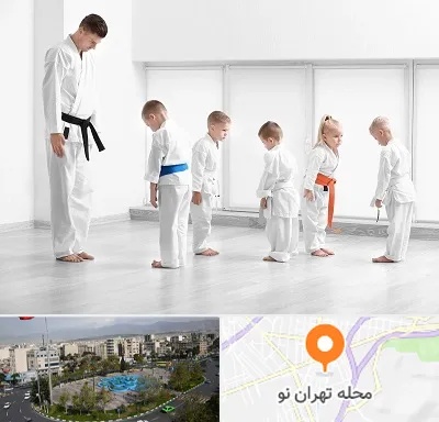 مربی کاراته در تهران نو
