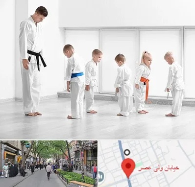 مربی کاراته در ولیعصر شهریار