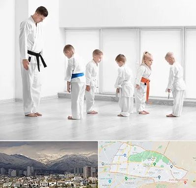 مربی کاراته در منطقه 4 تهران 