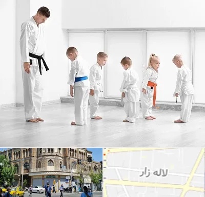 مربی کاراته در لاله زار