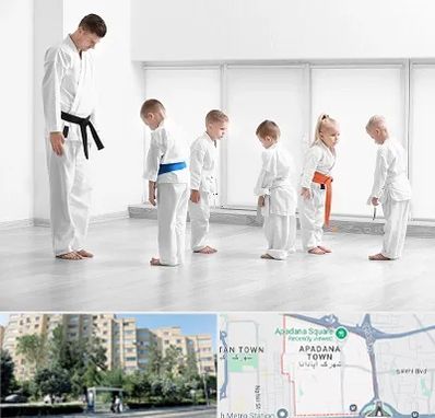 مربی کاراته در آپادانا