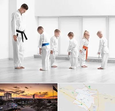 مربی کاراته در قوچان