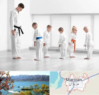 مربی کاراته در مریوان