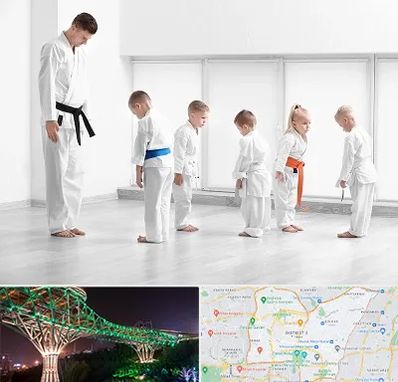 مربی کاراته در منطقه 3 تهران 