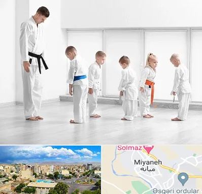 مربی کاراته در میانه