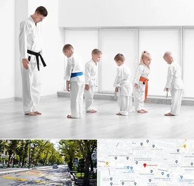 مربی کاراته در میرداماد 