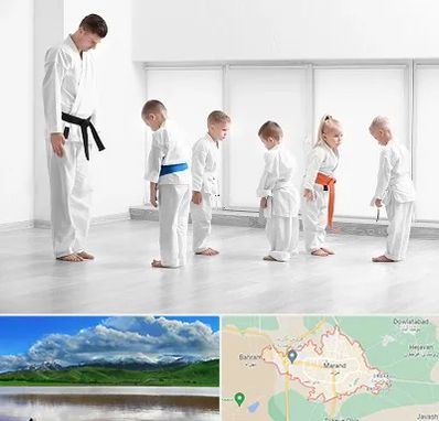 مربی کاراته در مرند
