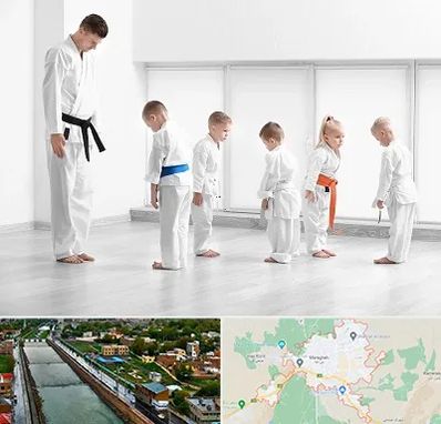 مربی کاراته در مراغه