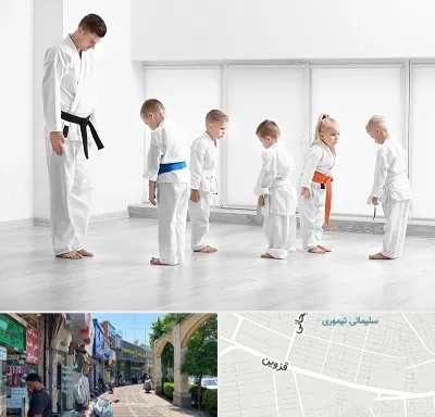 مربی کاراته در خیابان قزوین