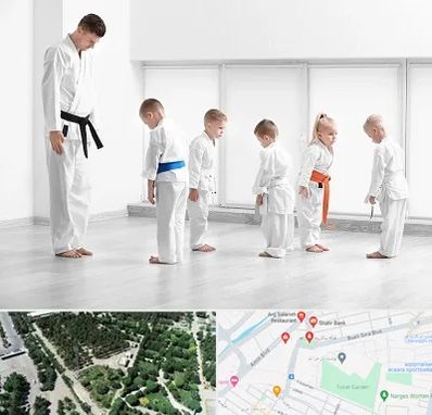 مربی کاراته در سالاریه قم