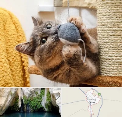 خرید اسباب بازی گربه در خورموج