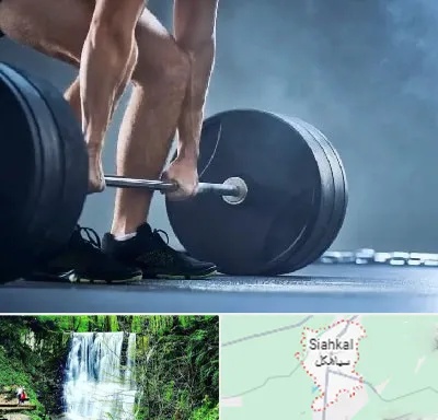 باشگاه بدنسازی در سیاهکل