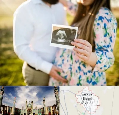 عکاسی بارداری در آران و بیدگل