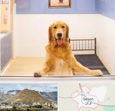 پانسیون حیوان خانگی در گراش