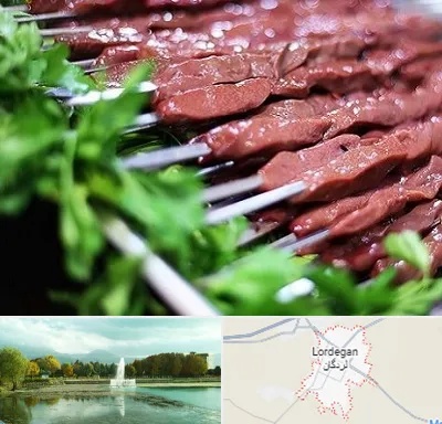 جگرکی در لردگان
