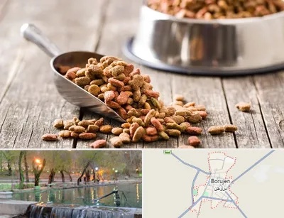 فروشگاه غذای حیوانات خانگی در بروجن