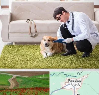 دامپزشکی در منزل در پارس آباد