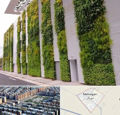 دیوار سبز در مهرگان