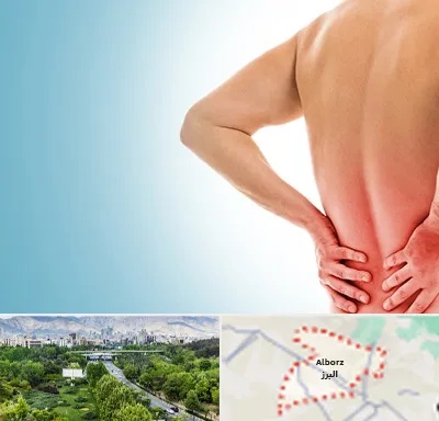 دکتر فلوشیپ دیسک کمر در البرز