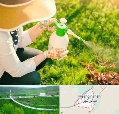 فروش سم حشرات در مشگین شهر