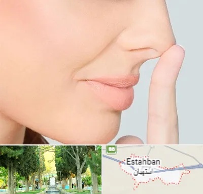 عمل تیپ پلاستی بینی در استهبان