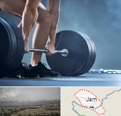 باشگاه بدنسازی در جم