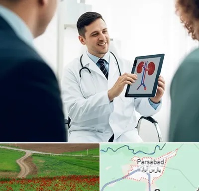 دکتر فوق تخصص سنگ کلیه در پارس آباد