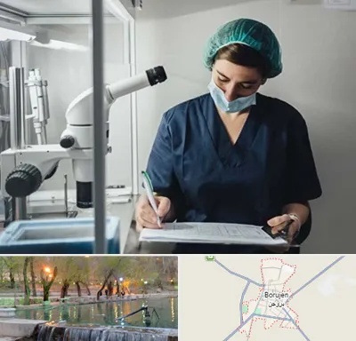 دکتر اورولوژیست خانم در بروجن