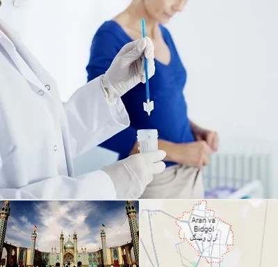 آزمایشگاه پاپ اسمیر در آران و بیدگل