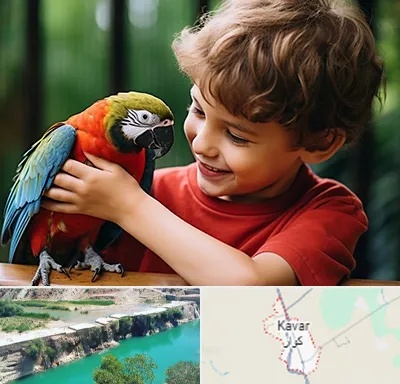 پانسیون پرندگان در کوار