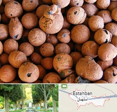 پوکه صنعتی در استهبان