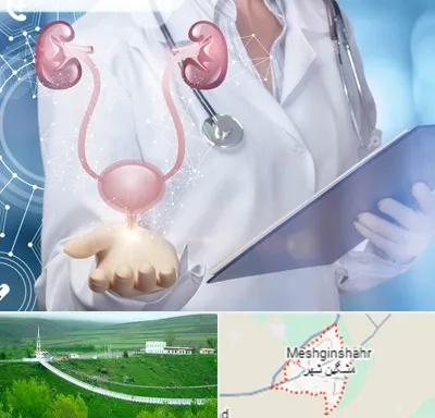 متخصص اورولوژی خانم در مشگین شهر