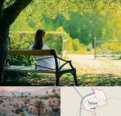 پارک بانوان در طبس
