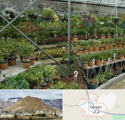 بازار گل و گیاه در گراش