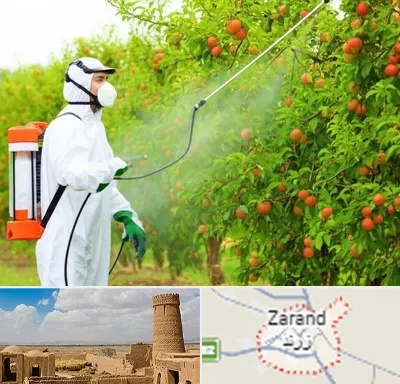 سمپاشی درختان در زرند