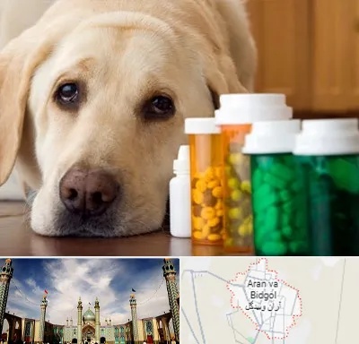 داروخانه دامپزشکی در آران و بیدگل