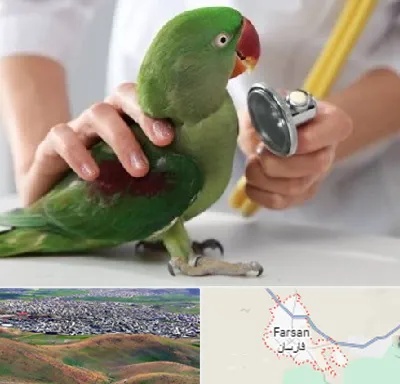 درمانگاه شبانه روزی پرندگان در فارسان