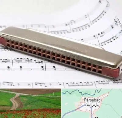 آموزشگاه ساز دهنی در پارس آباد