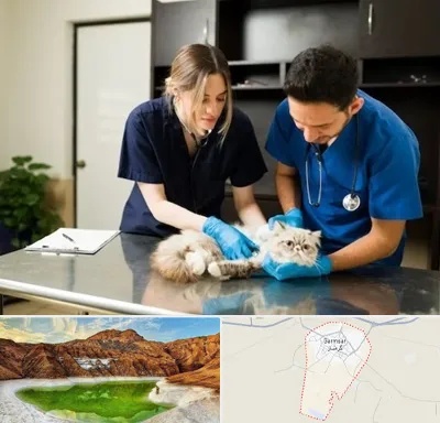 دامپزشکی سیار در گرمسار