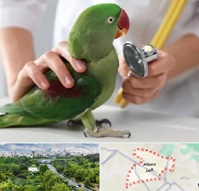 درمانگاه شبانه روزی پرندگان در البرز