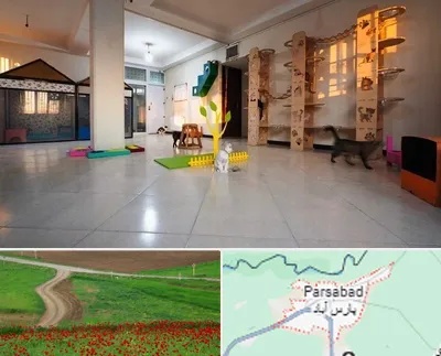 پانسیون گربه در پارس آباد