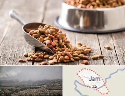 فروشگاه غذای حیوانات خانگی در جم