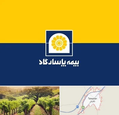 بیمه پاسارگاد در تاکستان