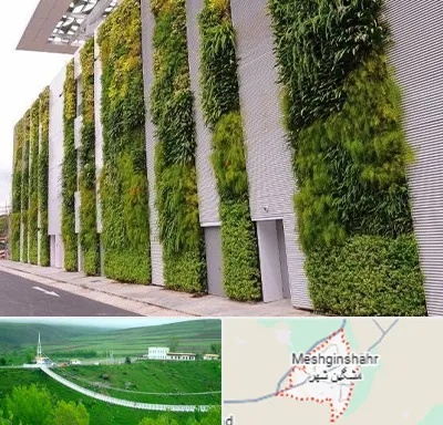 دیوار سبز در مشگین شهر