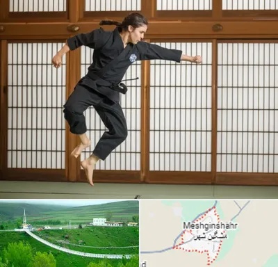 باشگاه نینجا در مشگین شهر