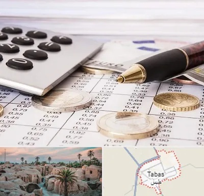 نرم افزار مودیان مالیاتی در طبس