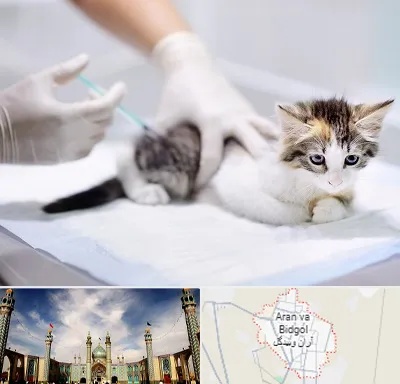 واکسیناسیون حیوانات در آران و بیدگل
