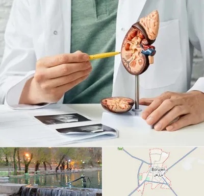 دکتر اورولوژیست در بروجن